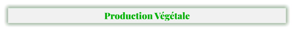 Production Végétale